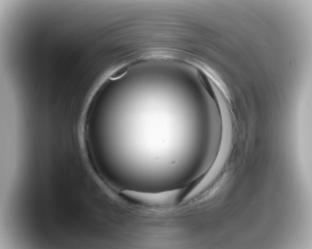 X0000099570901200805231529