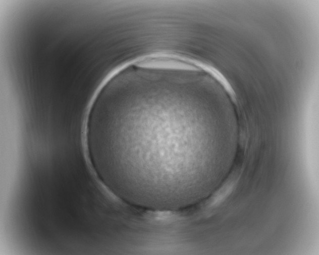 X0000099570903200805231529