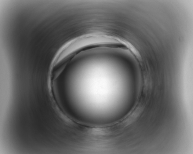 X0000099570904200805231529