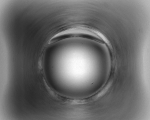 X0000099570905200805231529