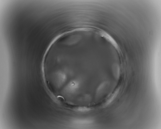 X0000099570907200805231529