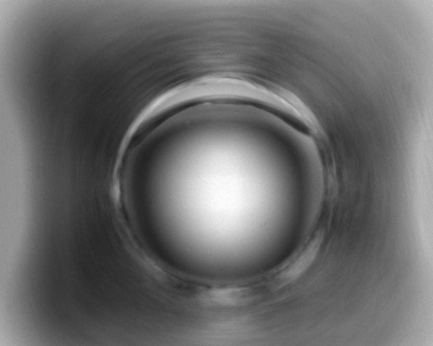 X0000099570908200805231529