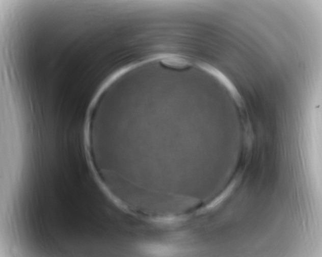 X0000099570910200805231529