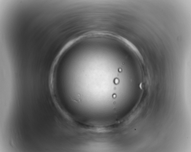 X0000099570911200805231529