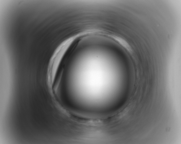 X0000099570912200805231529