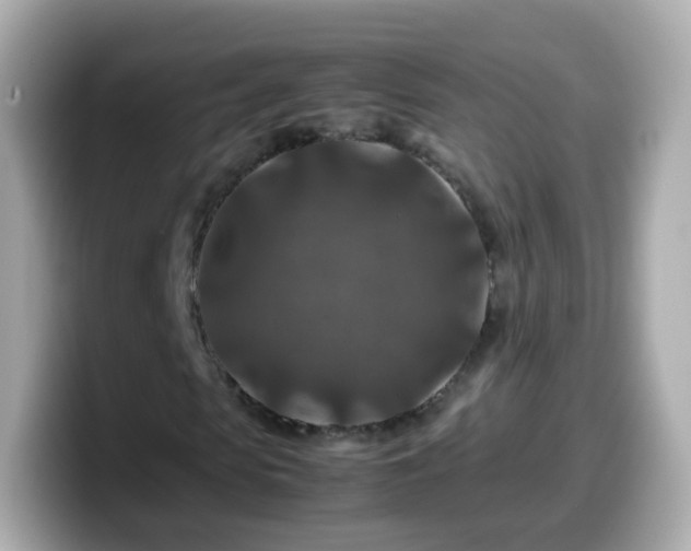 X0000099570913200805231528