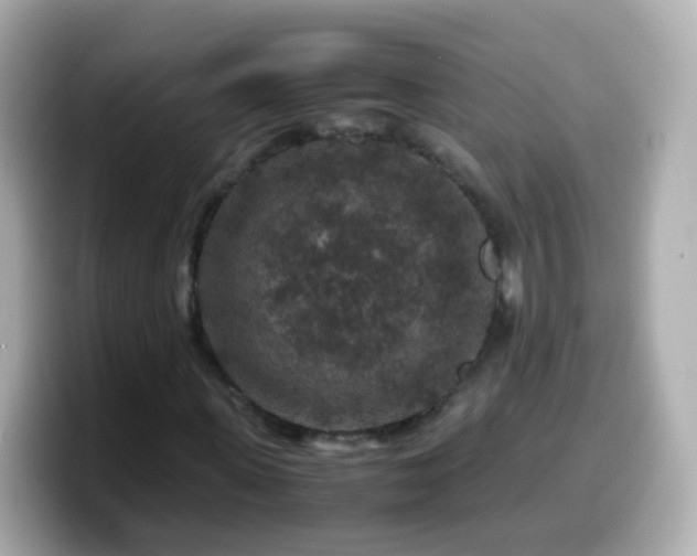 X0000099570915200805231528