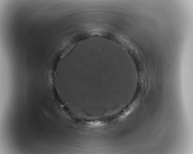 X0000099570916200805231528