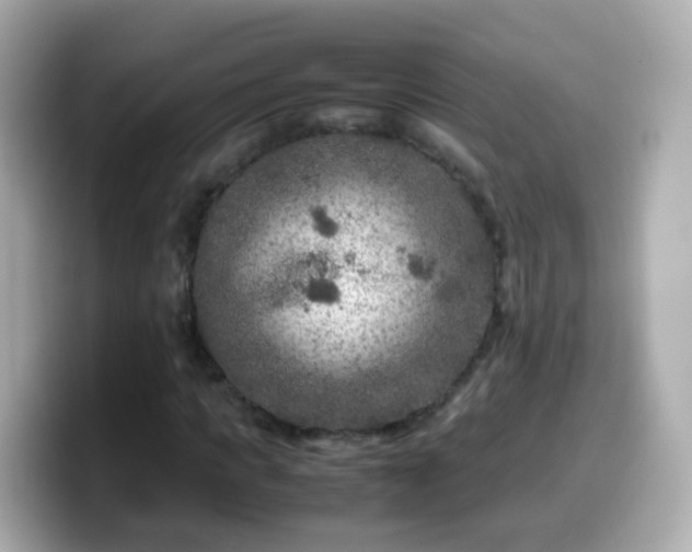 X0000099570917200805231528