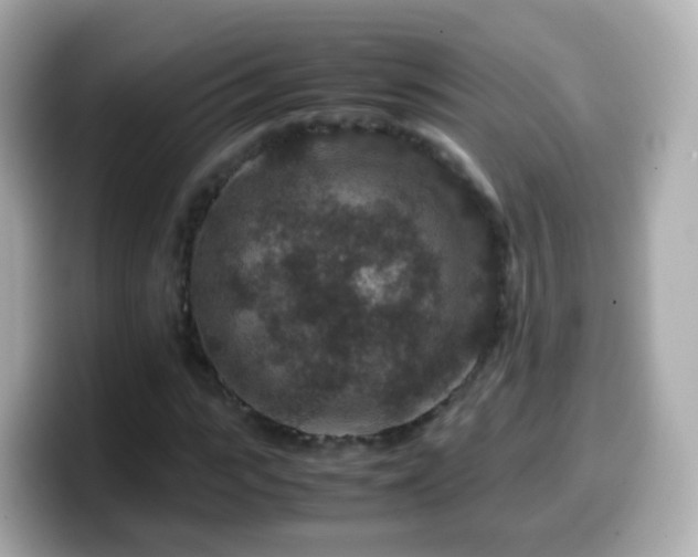 X0000099570919200805231528