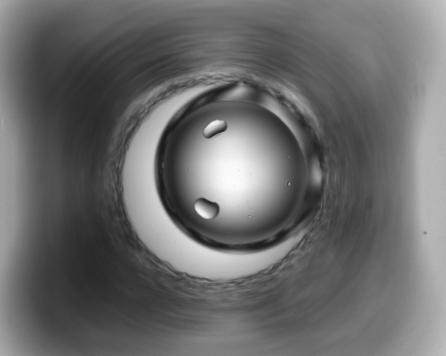 X0000099570920200805231528