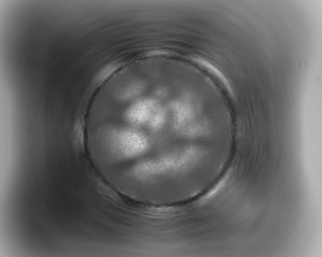 X0000099570921200805231528