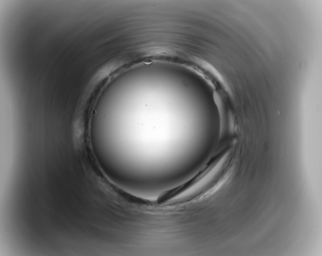 X0000099570922200805231528