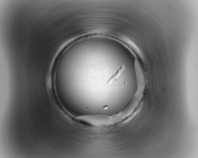 X0000099570924200805231528