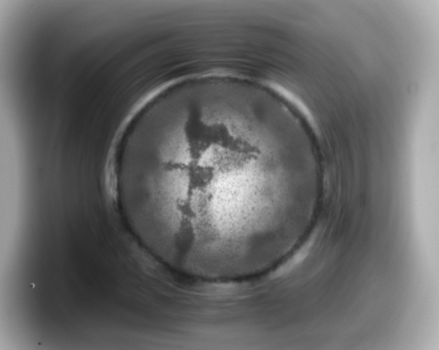 X0000099570925200805231528