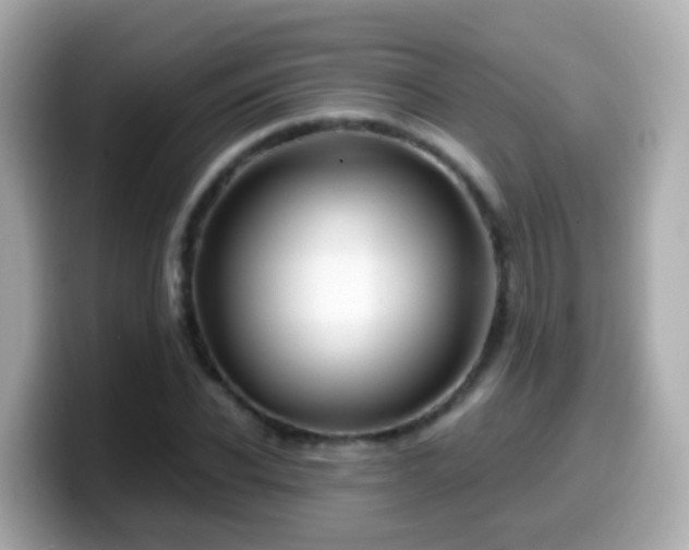 X0000099570926200805231528