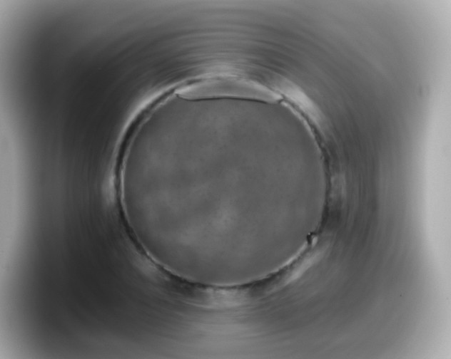 X0000099570928200805231528