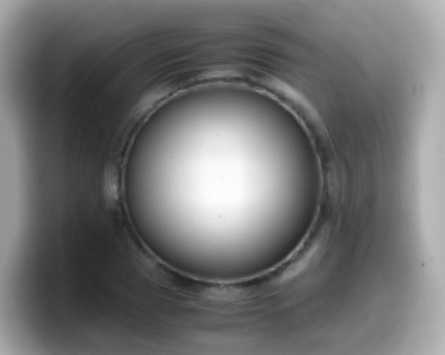 X0000099570929200805231528