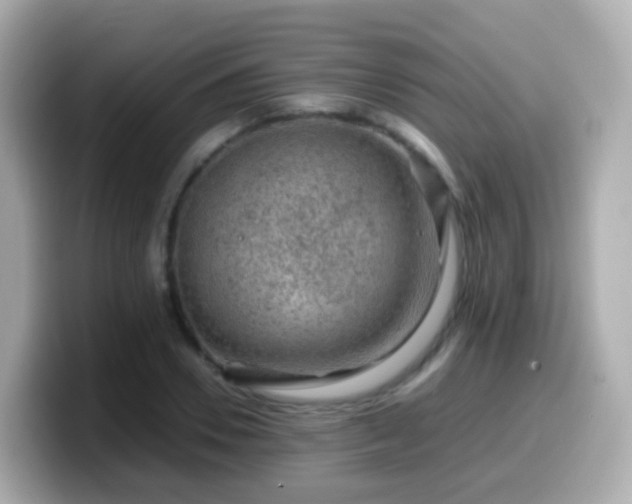 X0000099570930200805231528