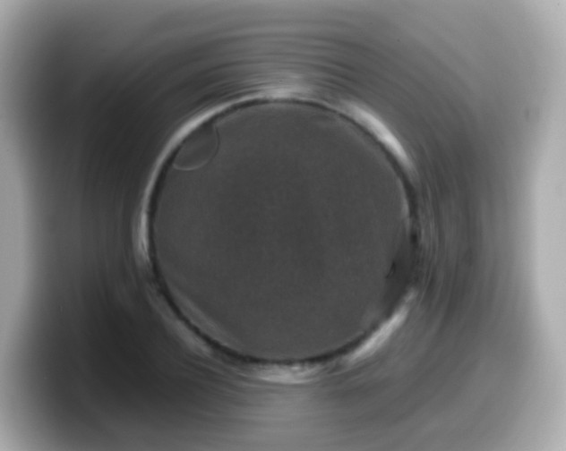 X0000099570932200805231528