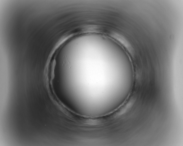 X0000099570933200805231528