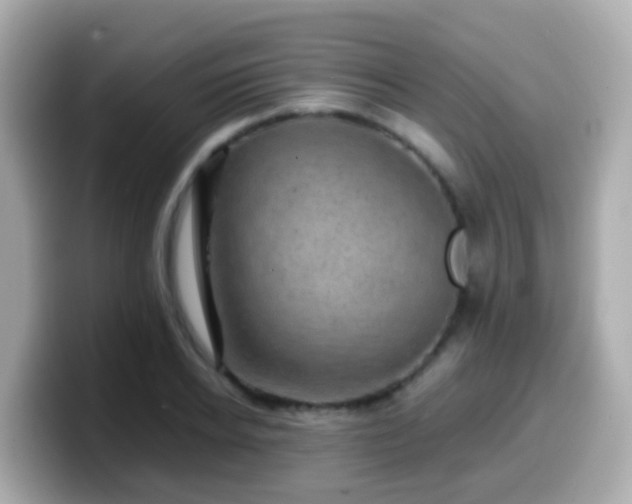 X0000099570934200805231528