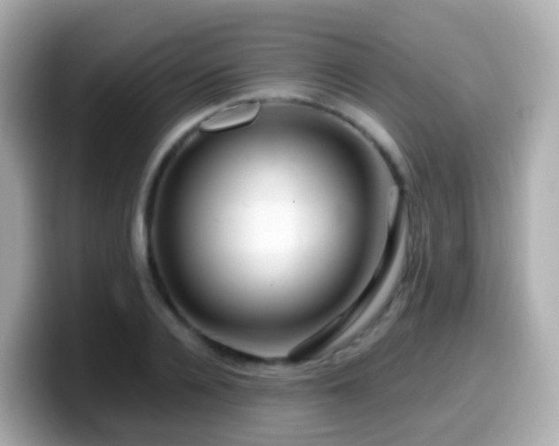 X0000099570936200805231528