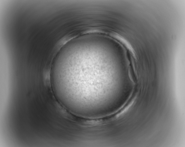 X0000099570937200805231529