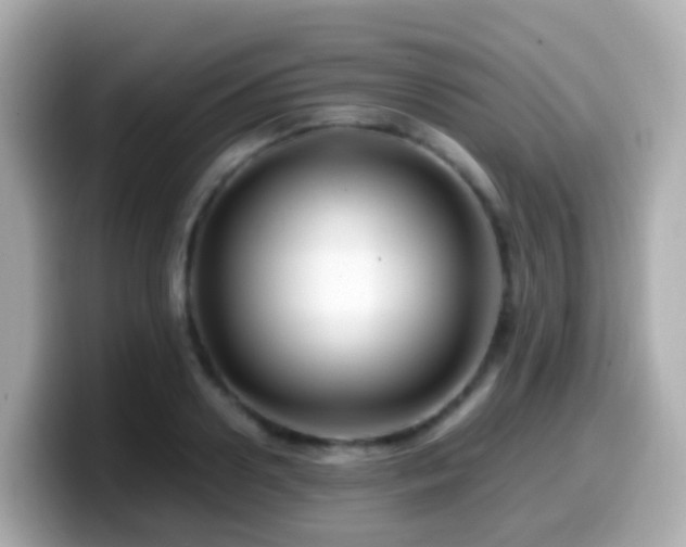 X0000099570938200805231529