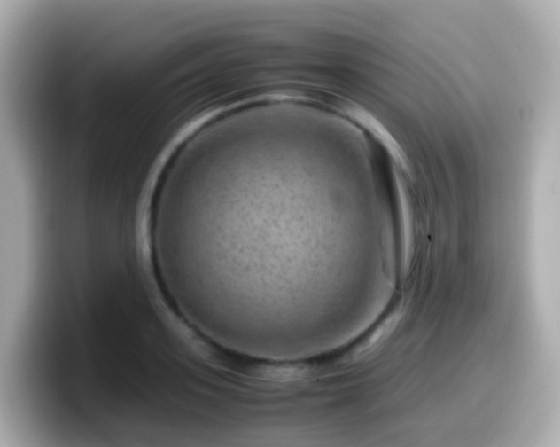 X0000099570939200805231529