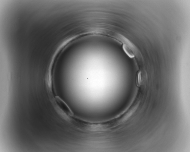 X0000099570940200805231529