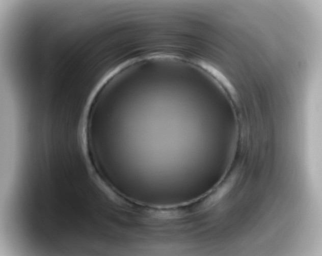 X0000099570941200805231529