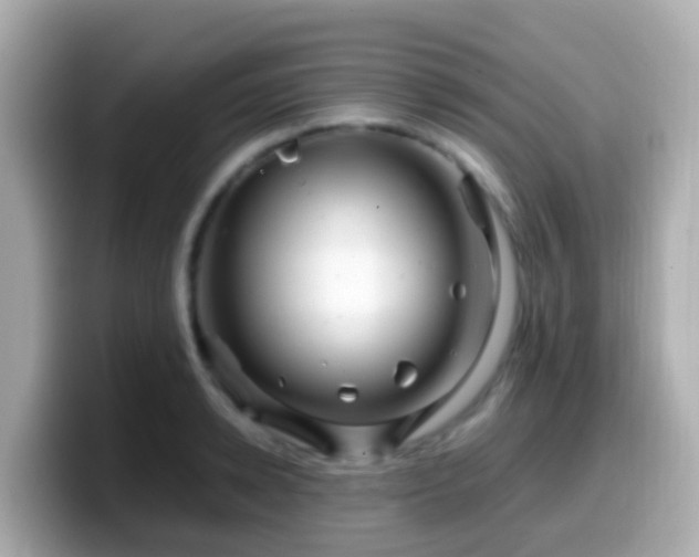 X0000099570942200805231529