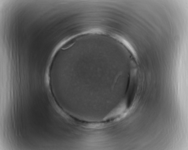 X0000099570944200805231529