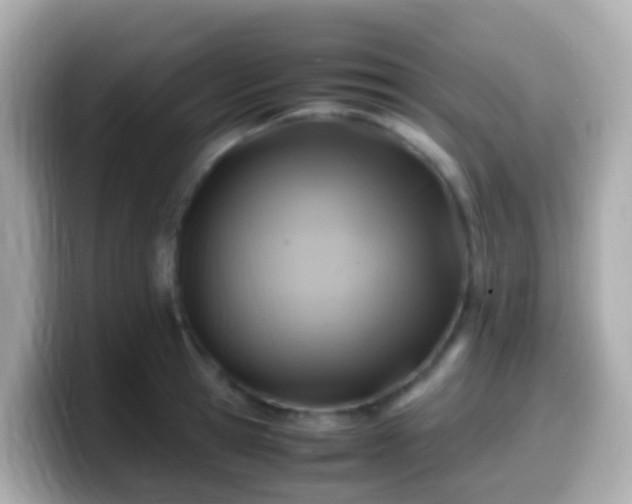 X0000099570945200805231529