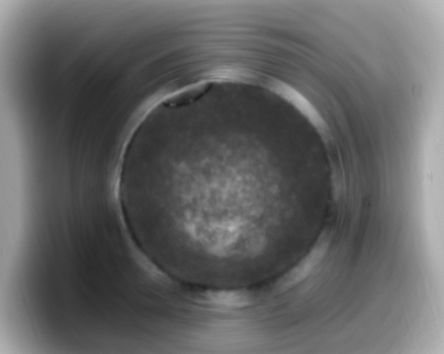 X0000099570946200805231529