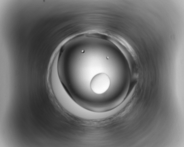 X0000099570948200805231529