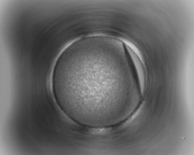 X0000099570949200805231529