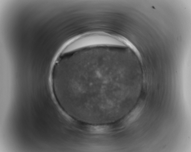 X0000099570951200805231529