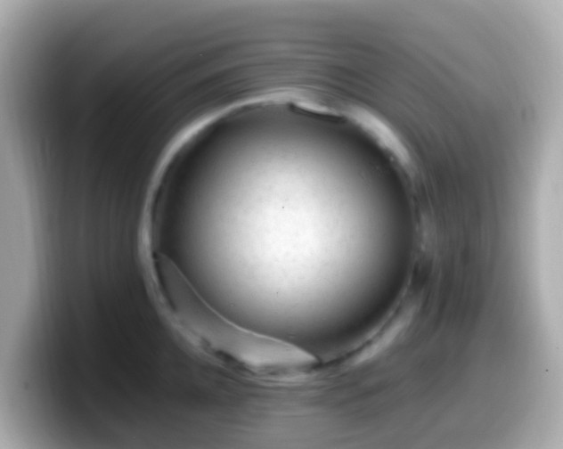 X0000099570952200805231529