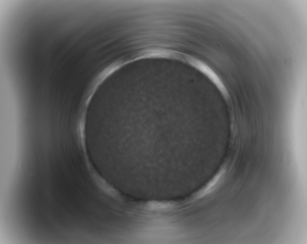 X0000099570954200805231529