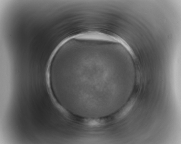 X0000099570955200805231529