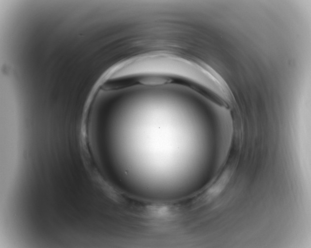 X0000099570956200805231529