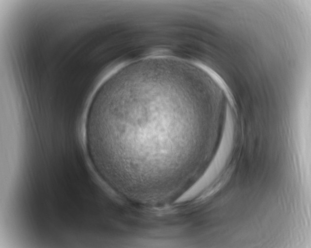 X0000099570957200805231529