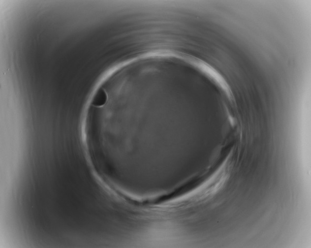 X0000099570958200805231529