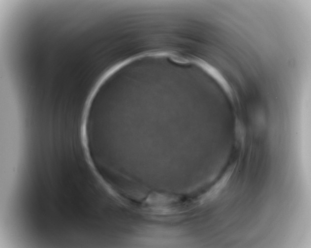 X0000099570959200805231529