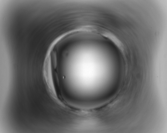 X0000099570960200805231529