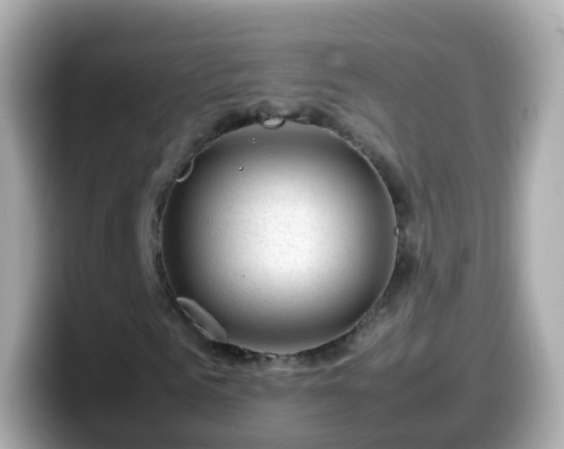 X0000099570961200805231528