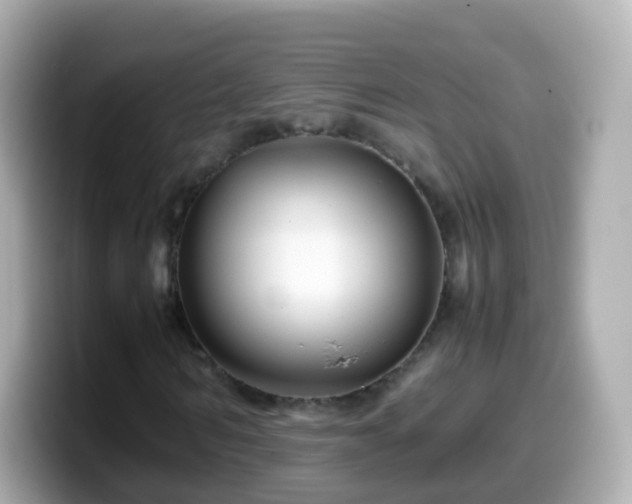 X0000099570962200805231528