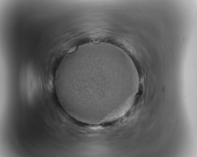 X0000099570963200805231528